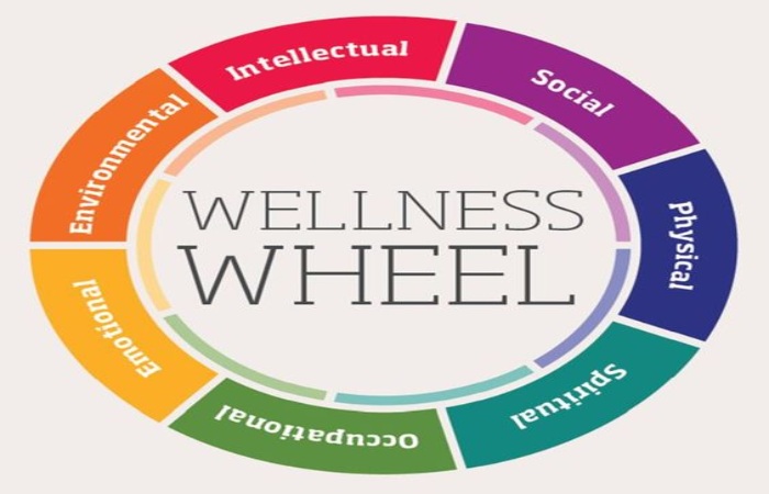 How Does the Wellness Wheel Work_